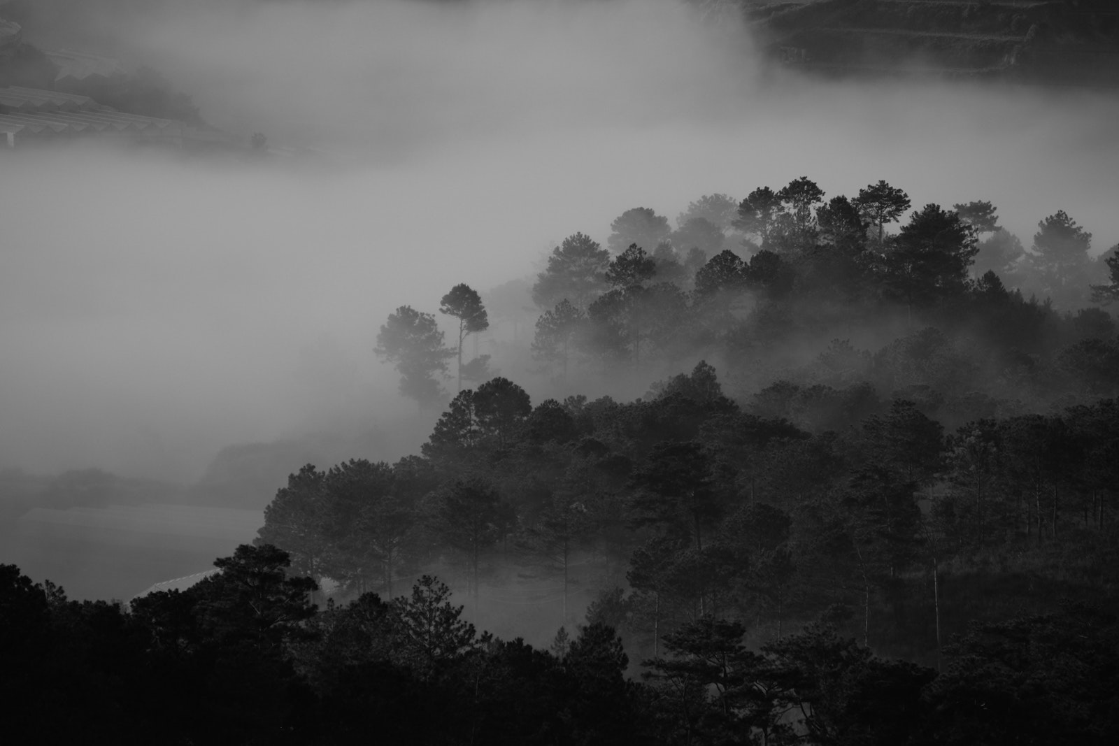 black and white landscape photos hills trees pexels dAE°AE¡ng nhA¢n