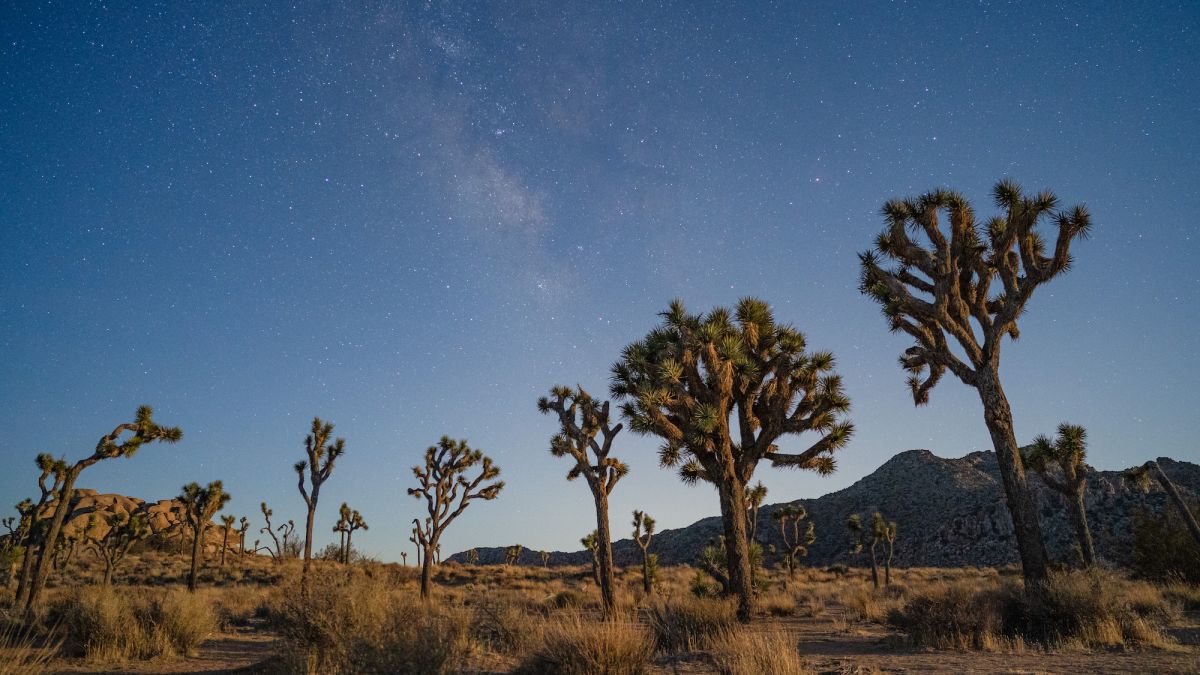 How to Photograph the Milky Way | A Complete Guide