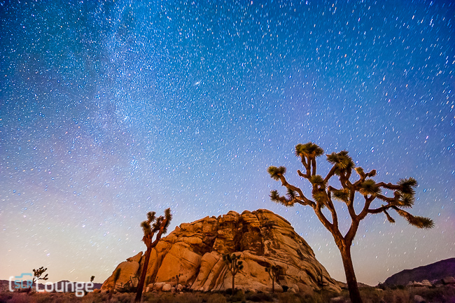 joshua-tree-star-trails-single