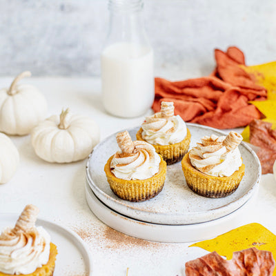 protein packed pumpkin cheesecake bites