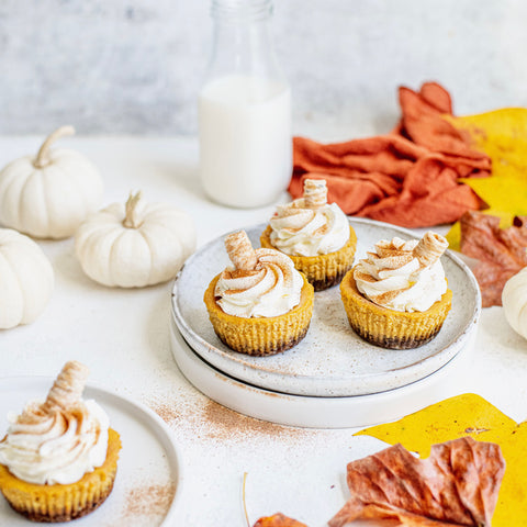 protein packed mini cheesecake bites