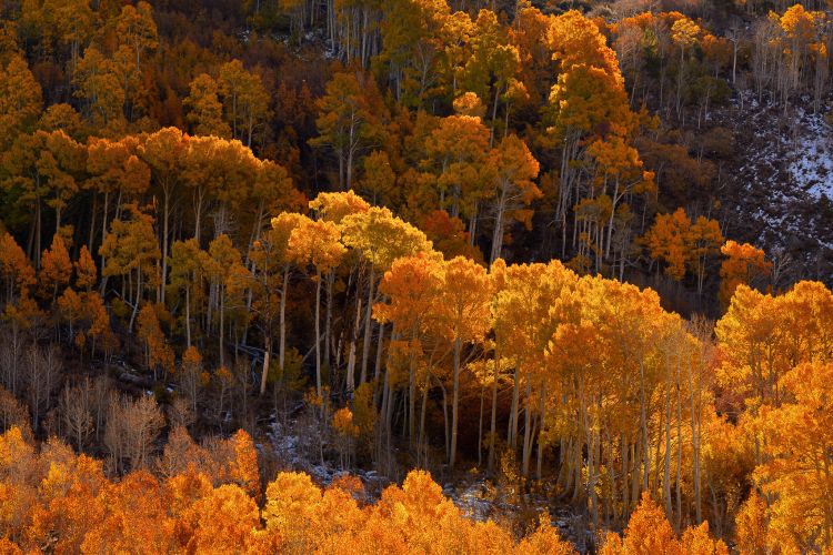 mountain landscape photography fall colors
