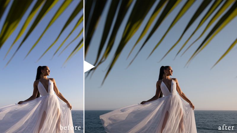 pure editorial lightroom presets 3 copy