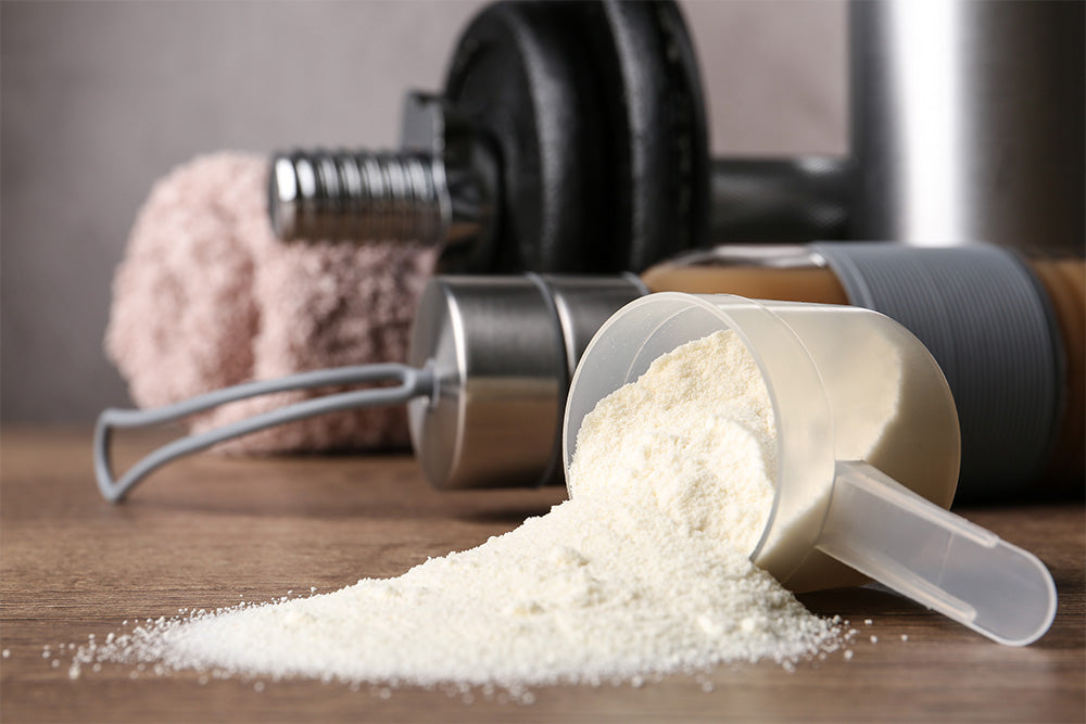 How Does Whey Protein Powder Build Muscle?