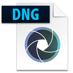 dng file